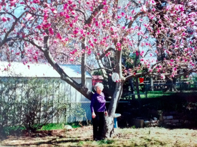 Loading Image