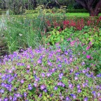 IMG_2652.JPG