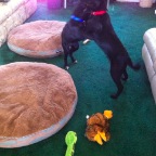 IMG_3224