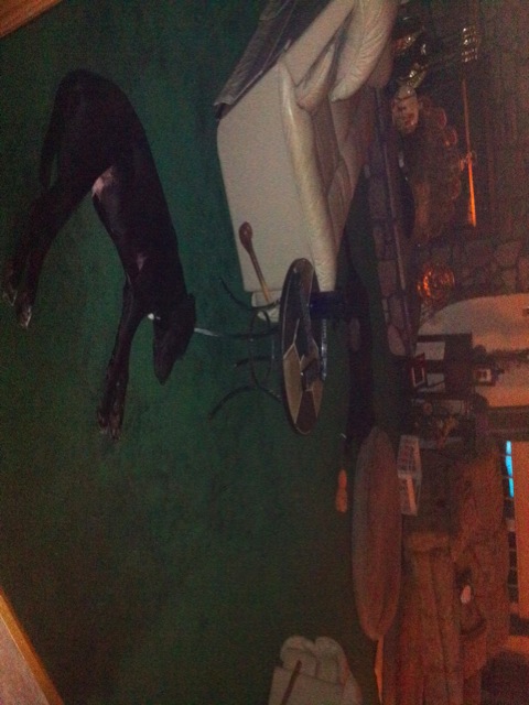 Loading Image