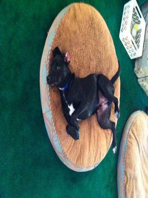 Loading Image