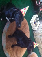 1stbday