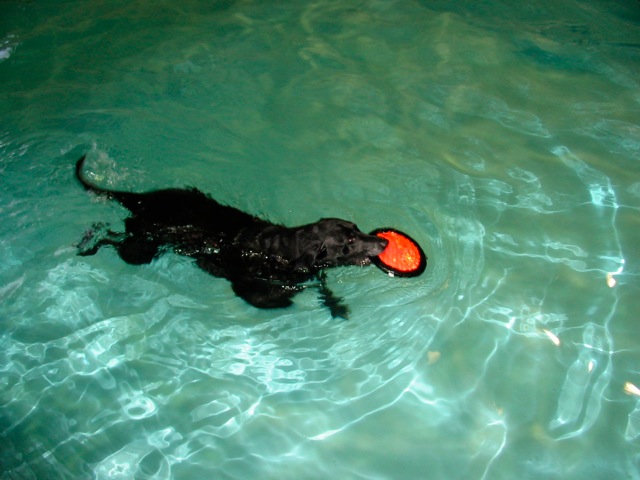 Loading Image
