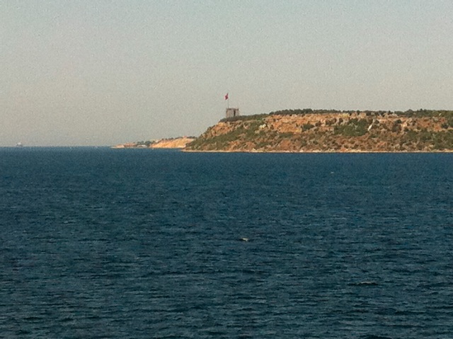 Loading Image