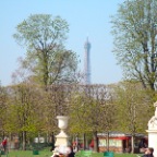 DSC00654