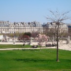 DSC00666