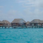 DSC00840
