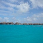 DSC00842
