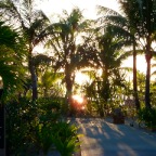 DSC01099