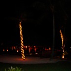 DSC01130