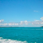 DSC01201