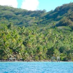 DSC01214