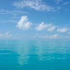 IMG_0692