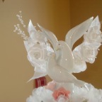 Sheilaswedding073