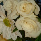 Sheilaswedding076