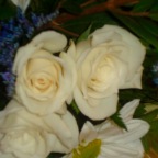 Sheilaswedding078