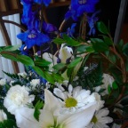 Sheilaswedding091
